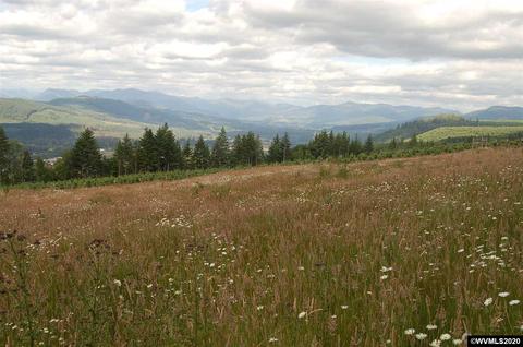 40593 N Mccully Mountain Rd, Lyons, OR 97358 photo 1