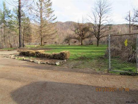 32246 N Fork Rd SE, Lyons, OR 97358 photo 1