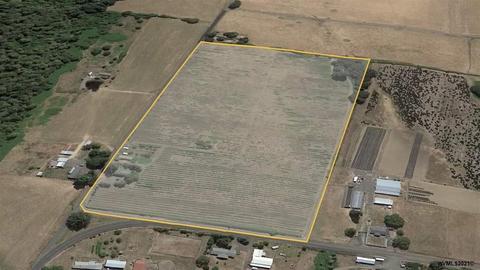 40641 N Ruby Lp, Scio, OR 97374 photo 1