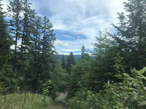 260 Frontier Dr, Gates, OR 97346 photo 1