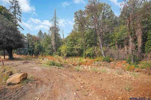 11023 Wagner Rd, Lyons, OR 97358 photo 1