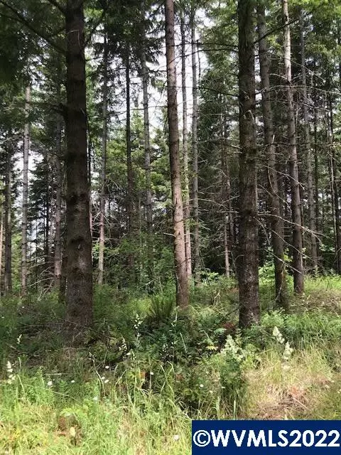 Cater Rd, Warren, OR 97053 photo 5