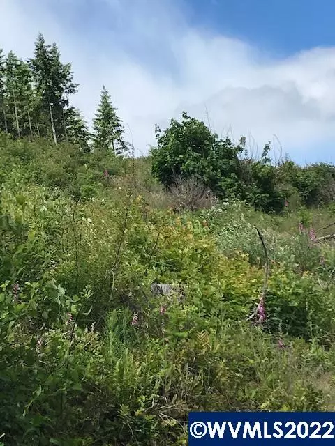 Cater Rd, Warren, OR 97053 photo 3