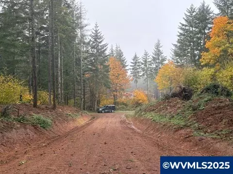 Cater Rd, Warren, OR 97053 photo 18