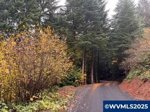 Cater Rd, Warren, OR 97053 photo 12