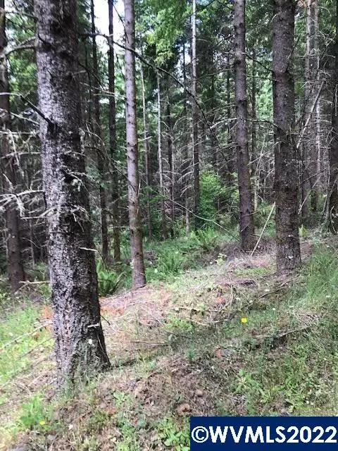 Cater Rd, Warren, OR 97053 photo 2