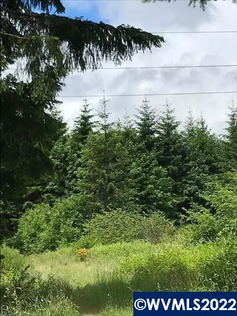Cater Rd, Warren, OR 97053 photo 6