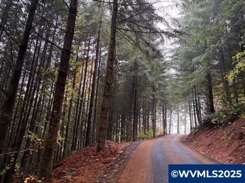 Cater Rd, Warren, OR 97053 photo 14