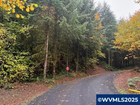 Cater Rd, Warren, OR 97053 photo 8