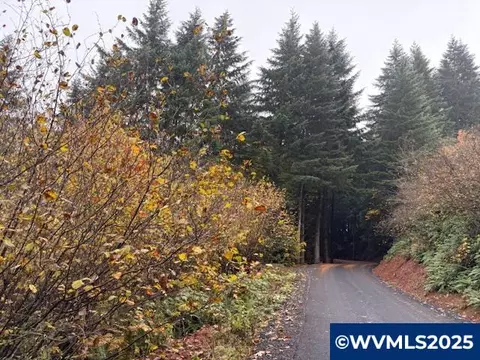 Cater Rd, Warren, OR 97053 photo 11