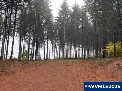 Cater Rd, Warren, OR 97053 photo 17