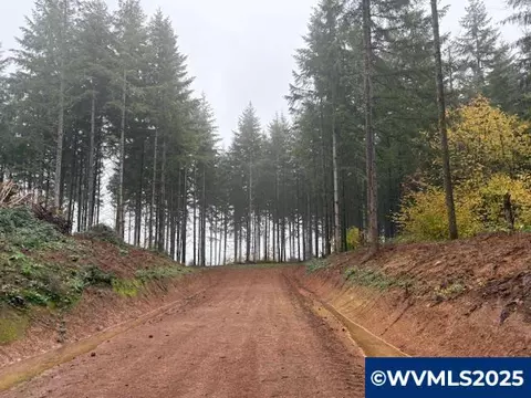 Cater Rd, Warren, OR 97053 photo 16