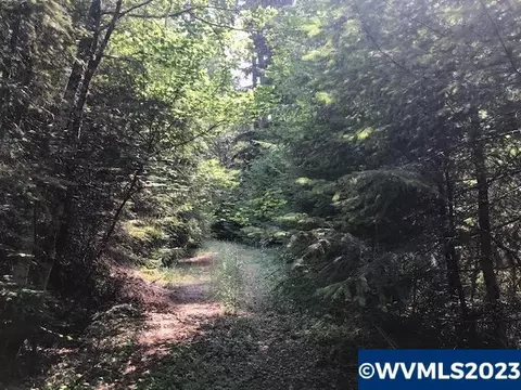 lot800 Nfd 305 Rd, Sweet Home, OR 97386