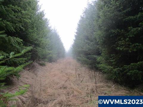 lot01700 Buck Hollow Rd, Sheridan, OR 97378
