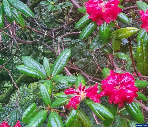 301 Otter Crest Dr, Newport, OR 97365 | 21 Photos - Movoto