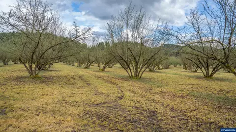 View/Area - 37082 Goats Rd, Springfield, OR 97478 photo 1 of 2