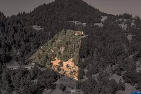 28920 Sheep Head Rd, Brownsville, OR 97327