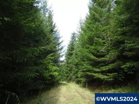 0 Belinger Scale Rd, Lebanon, OR 97355