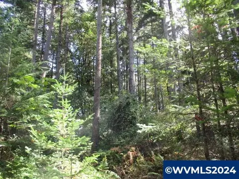 000 Bellinger Scale Rd, Lebanon, OR 97355