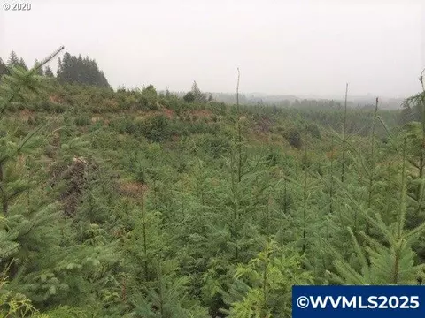 NW Ridge Rd, Forest Grove, OR 97116
