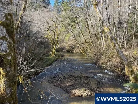 0 Steer Creek Rd, Blodgett, OR 97326