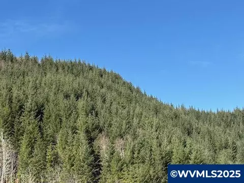 000 Logsden Rd, Blodgett, OR 97326