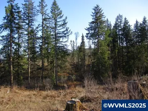 000 Abiqua Dam Rd, Silverton, OR 97381