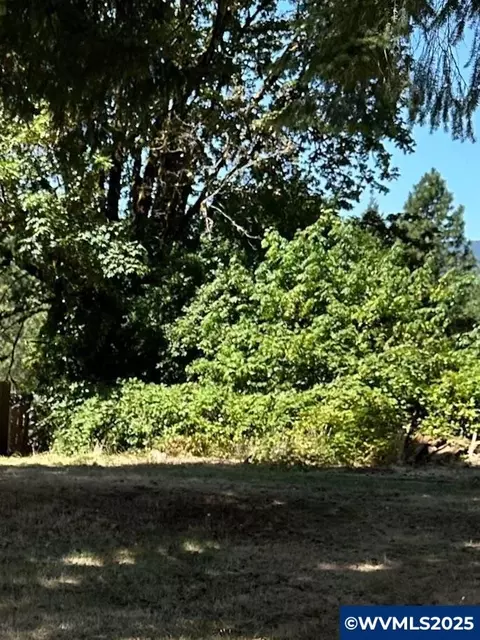 1713 Main St, Lyons, OR 97358 photo 1