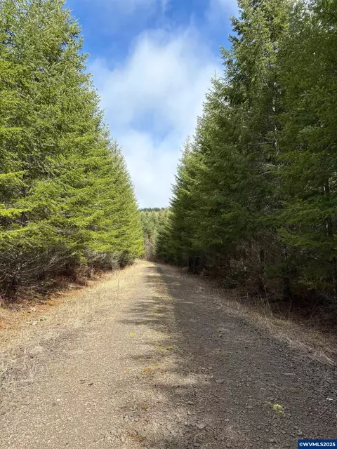 0 Boiler Creek Rd, Springfield, OR 97478