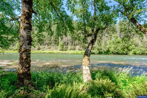 View/Area - 45849 River Loop Rd, Lyons, OR 97358 photo 4 of 6