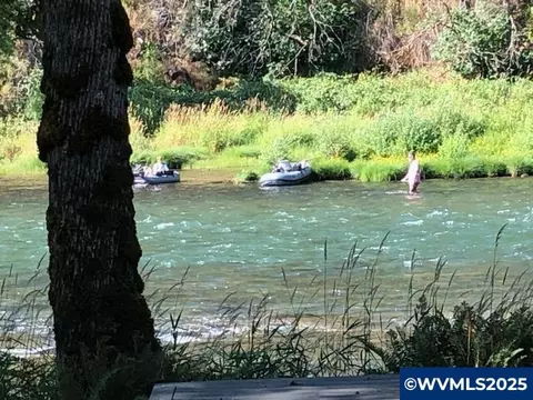 Other - 45849 River Loop Rd, Lyons, OR 97358 photo 1 of 6