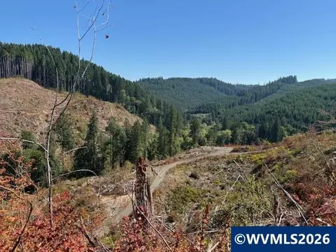 00 Van Horn Rd, Alsea, OR 97324 photo 10
