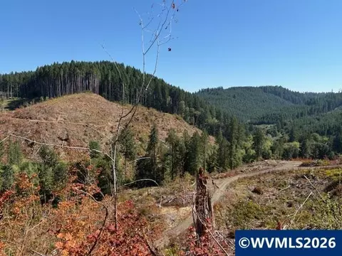00 Van Horn Rd, Alsea, OR 97324 photo 11