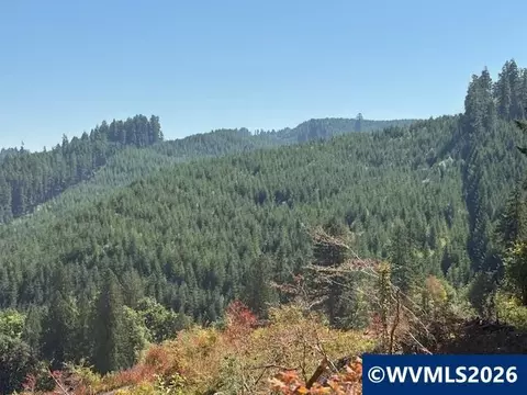00 Van Horn Rd, Alsea, OR 97324 photo 5