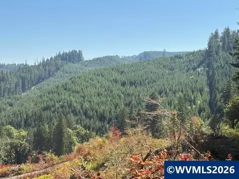 00 Van Horn Rd, Alsea, OR 97324 photo 7