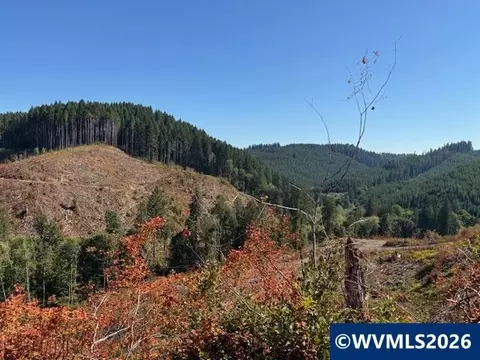 00 Van Horn Rd, Alsea, OR 97324 photo 2