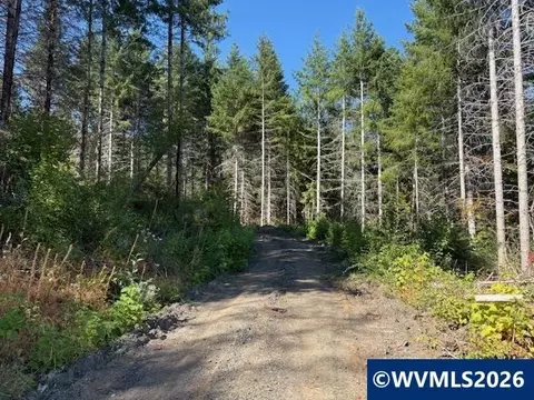00 Van Horn Rd, Alsea, OR 97324 photo 16