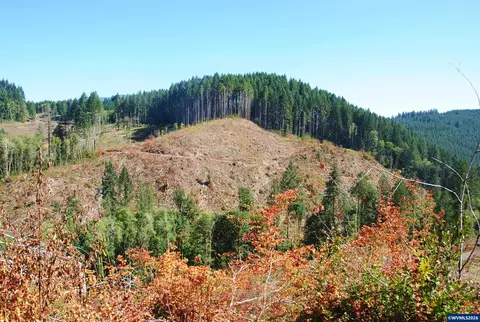 00 Van Horn Rd, Alsea, OR 97324