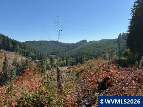 00 Van Horn Rd, Alsea, OR 97324 photo 3