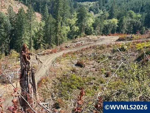 00 Van Horn Rd, Alsea, OR 97324 photo 9