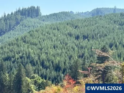 00 Van Horn Rd, Alsea, OR 97324 photo 6