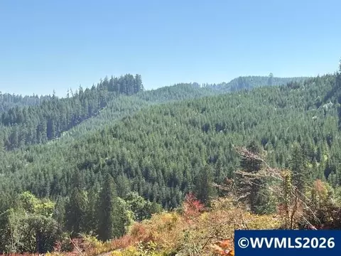 00 Van Horn Rd, Alsea, OR 97324 photo 4