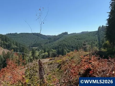 00 Van Horn Rd, Alsea, OR 97324 photo 8