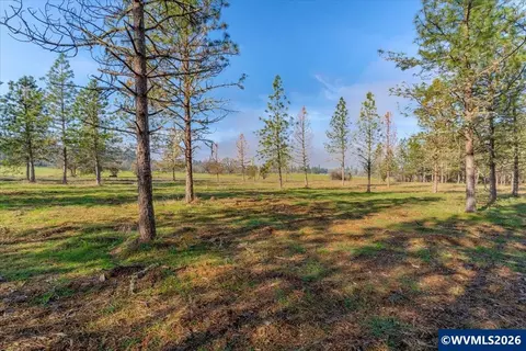 0060356 Tax Lot Old Bellinger Scale Rd, Lebanon, OR 97355