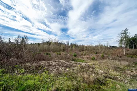 Tl #0923670 Shilling Dr, Scio, OR 97374