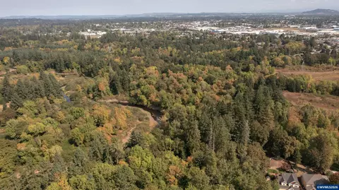 Pp2020-49 Lot #2 N. Of Osprey Ct. Rd, Albany, OR 97321