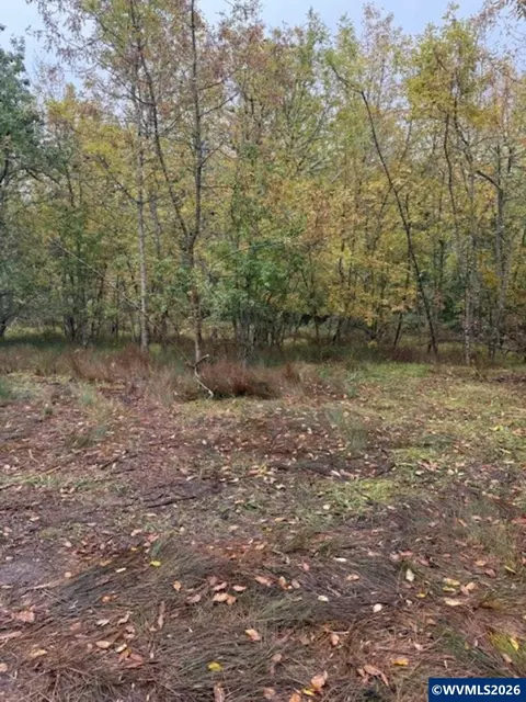 Ta 0400362 Mountain Home Dr, Brownsville, OR 97327