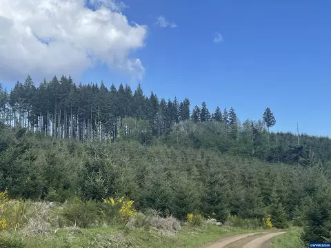 lot13 SW Rock Creek Rd, Sheridan, OR 97378