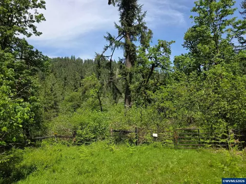 lot500 Lewis Cemetery Rd, Silverton, OR 97381