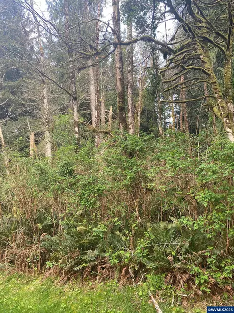 Tl 1000 SE 54th Dr, Lincoln City, OR 97367